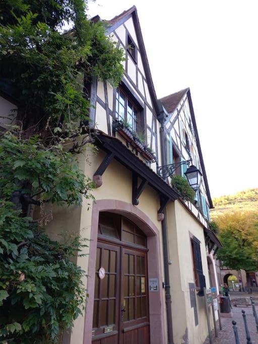 S'Gleina Gleck, In The Heart Of A Wine City, Charmant Studio 1 Piece Et 1 Salle De Bain Kaysersberg-Vignoble Exterior photo