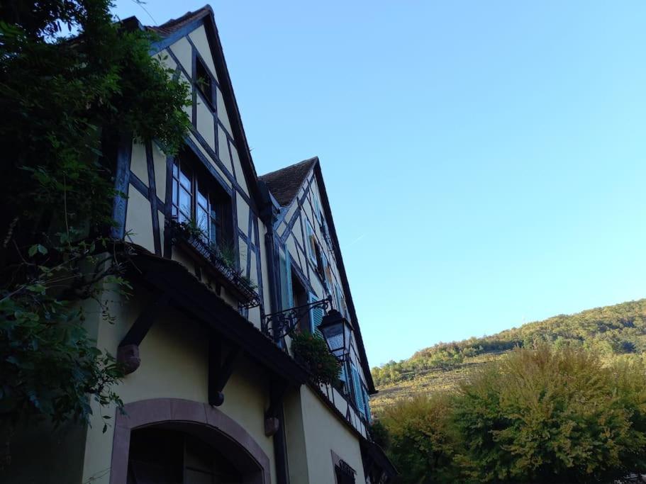 S'Gleina Gleck, In The Heart Of A Wine City, Charmant Studio 1 Piece Et 1 Salle De Bain Kaysersberg-Vignoble Exterior photo