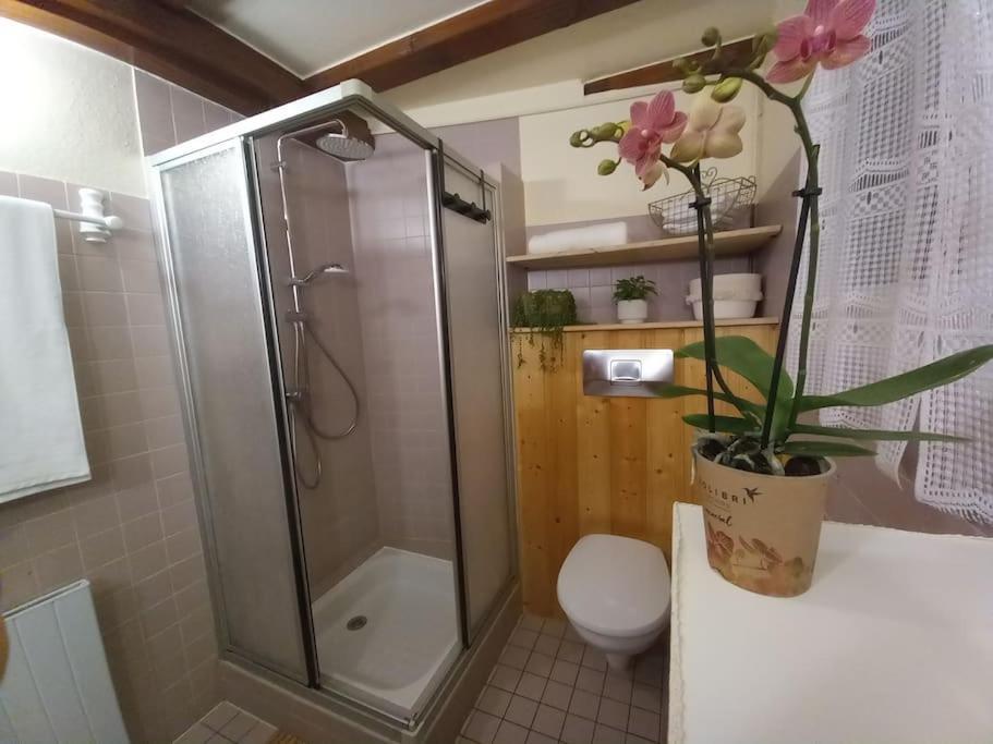S'Gleina Gleck, In The Heart Of A Wine City, Charmant Studio 1 Piece Et 1 Salle De Bain Kaysersberg-Vignoble Exterior photo