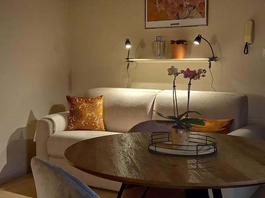 S'Gleina Gleck, In The Heart Of A Wine City, Charmant Studio 1 Piece Et 1 Salle De Bain Kaysersberg-Vignoble Exterior photo
