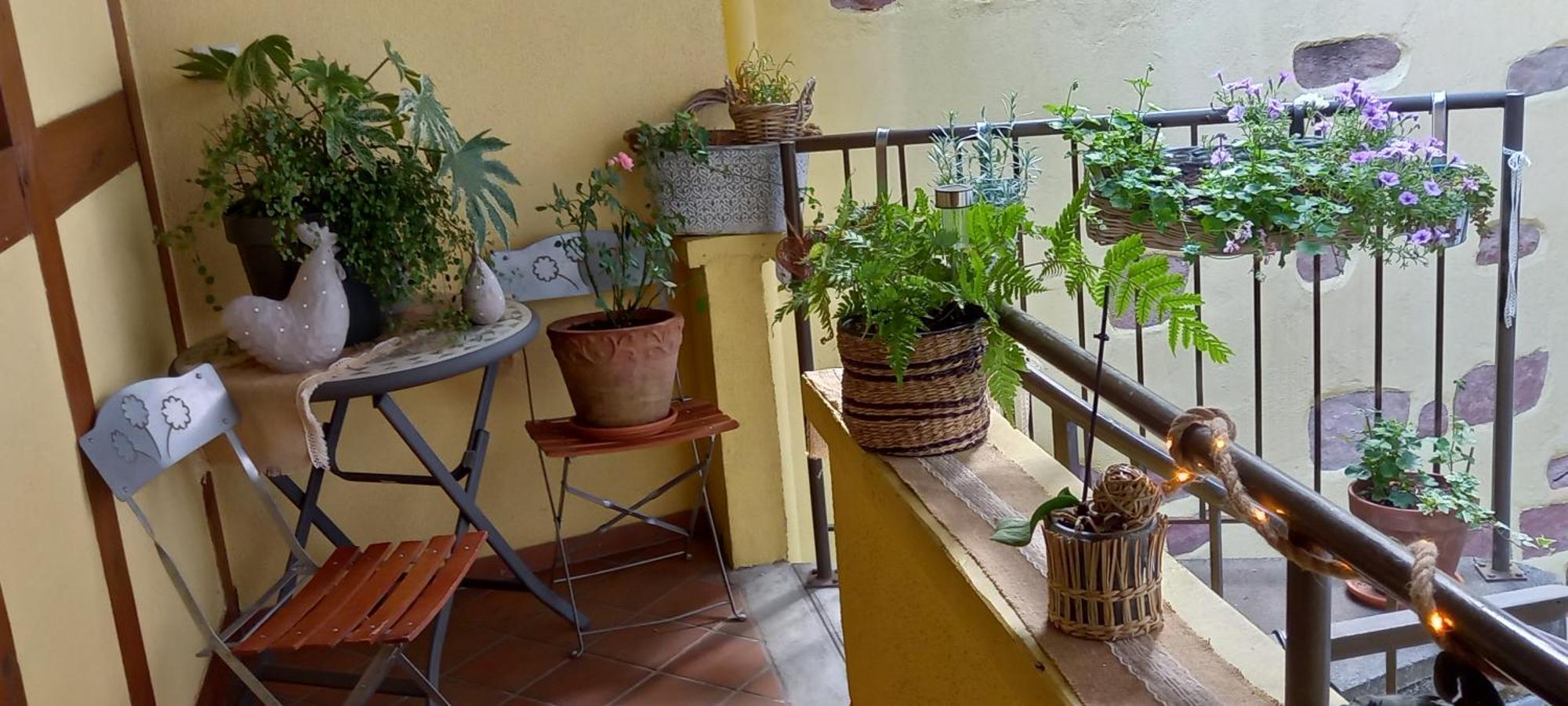 S'Gleina Gleck, In The Heart Of A Wine City, Charmant Studio 1 Piece Et 1 Salle De Bain Kaysersberg-Vignoble Exterior photo